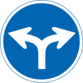 (311-D)指定方向外通行禁止