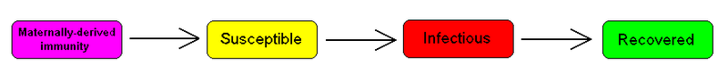 Modelo compartimental MSIR