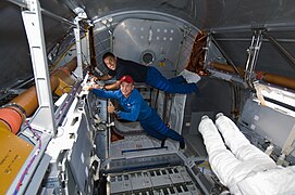 Interior view of the Leonardo MPLM