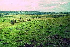 Gran Sabana