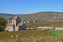Vignoble-de-Champagne-à-Courthiézy-dans-la-vallée-de-la-Marne-DSC 0135.jpg