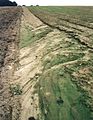 Fotografia d'un fenomèn d'erosion d'una tèrra agricòla