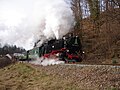 Zug der Weißeritztalbahn bei Seifersdorf