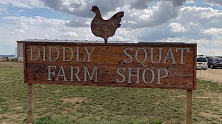 Diddly Squat Farm.jpg