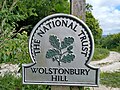 Wolstonbury Hill