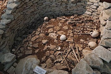 Crâne ayant été trois fois trépané, couloir du tumulus A, niveau supérieur, IVe millénaire.