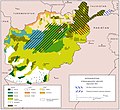      Turkmeni w Afganistanie