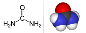 Structural formula of urea