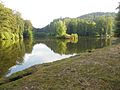 Weiher am Löchersbach nördlich des Schlossbergs