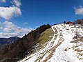 積雪期の雲取山