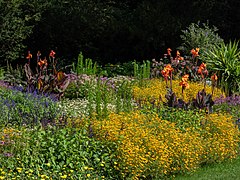 Botanical garden in Bamberg-20200728-RM-161949.jpg