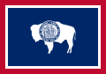 Wyomingeko bandera 1917