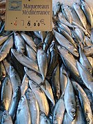 Poissons au marché 4.JPG