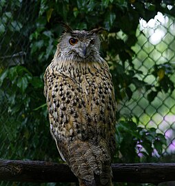 Zoo Veldhoven