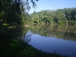 A Tisza Tivadarnál