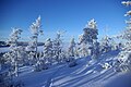 Lapland, Finlandia