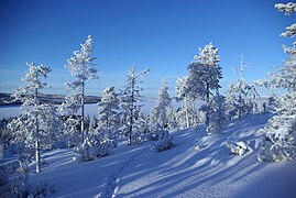 Lac Vietonen vu du mont Liinankivaara.