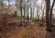 Burg-Reineberg Lübbecke 01.jpg