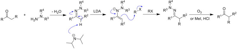 Mecanismo de hydrazone alkylation