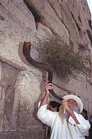 Un jueu israelià bufa el xofar al Mur de les Lamentacions, Jerusalem.