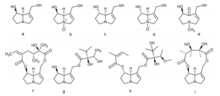 Gambar 1. PA terdiri dari basa necine yang dapat memiliki: (a) retronecine, (b) retronecine N-oxide, (c) heliotridine, (d) heliotrine N-oksida, atau (e) struktur otonesin. Setiap basa necine digabungkan dengan asam necic untuk membentuk empat kelompok utama PA: (f) 12-cincin diester makrosiklik (misalnya senecionine), (g) monoester berantai terbuka (misalnya likopsamine), (h) diester berantai terbuka (misalnya lasiocarpine), atau (i) diester makrosiklik beranggota 11 cincin (misalnya monokrotalin). Senkirkine, perwakilan paling menonjol prominent dari jenis otonecine, tidak ditunjukkan pada gambar ini, tetapi umumnya dikelompokkan dengan PA diester makrosiklik 12-cincin.
