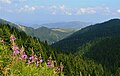 Kopaonik National Park