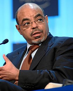 Meles Zenawi Maailman talousfoorumin kokouksessa 2012.