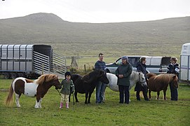 Concours sur l'île d'Unst en 2013