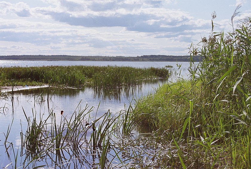 Blick über den Võrtsjärv-See