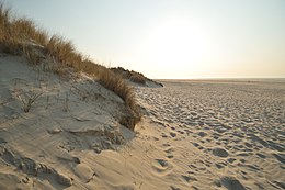 Terschelling – Veduta