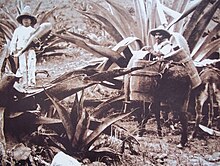 Otomi Tlachiqueros di Tequixquiac, fotografia scattata nel 1895.