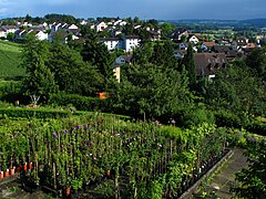 Nossikon und Riedikon vom Schloss Uster aus