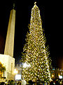 Kerstboom bij het Vaticaan