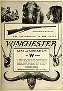 Winchester Model 1895 ad 'The Dreadnought of the Jungle'. 1910.jpg
