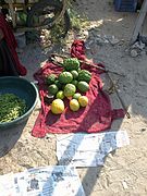 Bijora - Citron fruit for sale at Bhujpur, Kutch, Gujarat, India