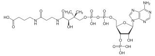 Strukturformel von CMX