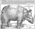 Rhinocerus label QS:Lpl,"Nosorożec" 1515