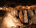 Some of the cave formations in the large, publicly accessible cave at Florida Caverns State Park, 2007.