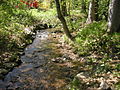 Gabelbach im alten Kurpark