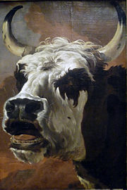 Jan Asselyn, Tête de bœuf