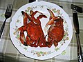 crab (Necora puber)