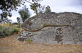 Sierpe en la fuente La Carrozal en Pino del Oro.jpg