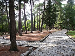 park