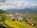 Blick af Tramin - Südonsicht