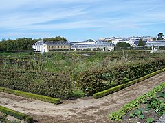 Les jardins des élèves.