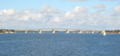 Captain Cook Bridge, as viewed from Blakehurst