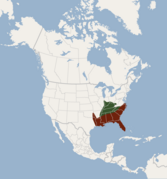 Distribution of Corynorhinus rafinesquii.png