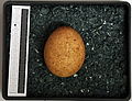 Huevo, colección del Museo Wiesbaden