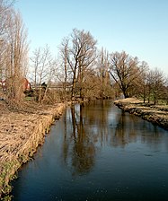 De Fuhse, een zuidelijke zijrivier van de Aller, kort voordat deze te Celle daarin uitmondt