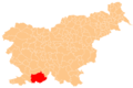 Ilirska Bistrica municipality